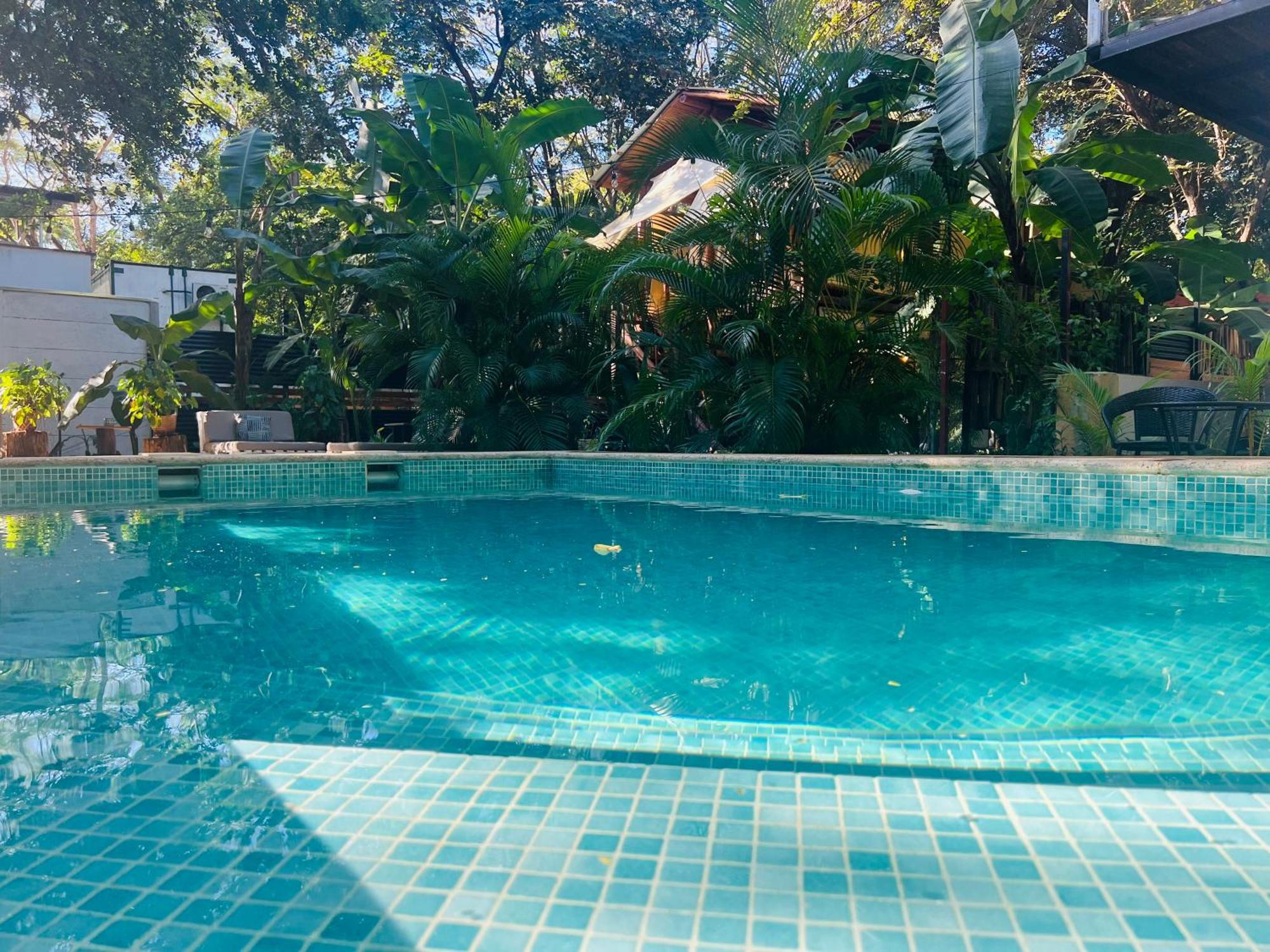 Calipso Ocean Lodge- Avellana Beach Hotel Playa Avellana Bagian luar foto