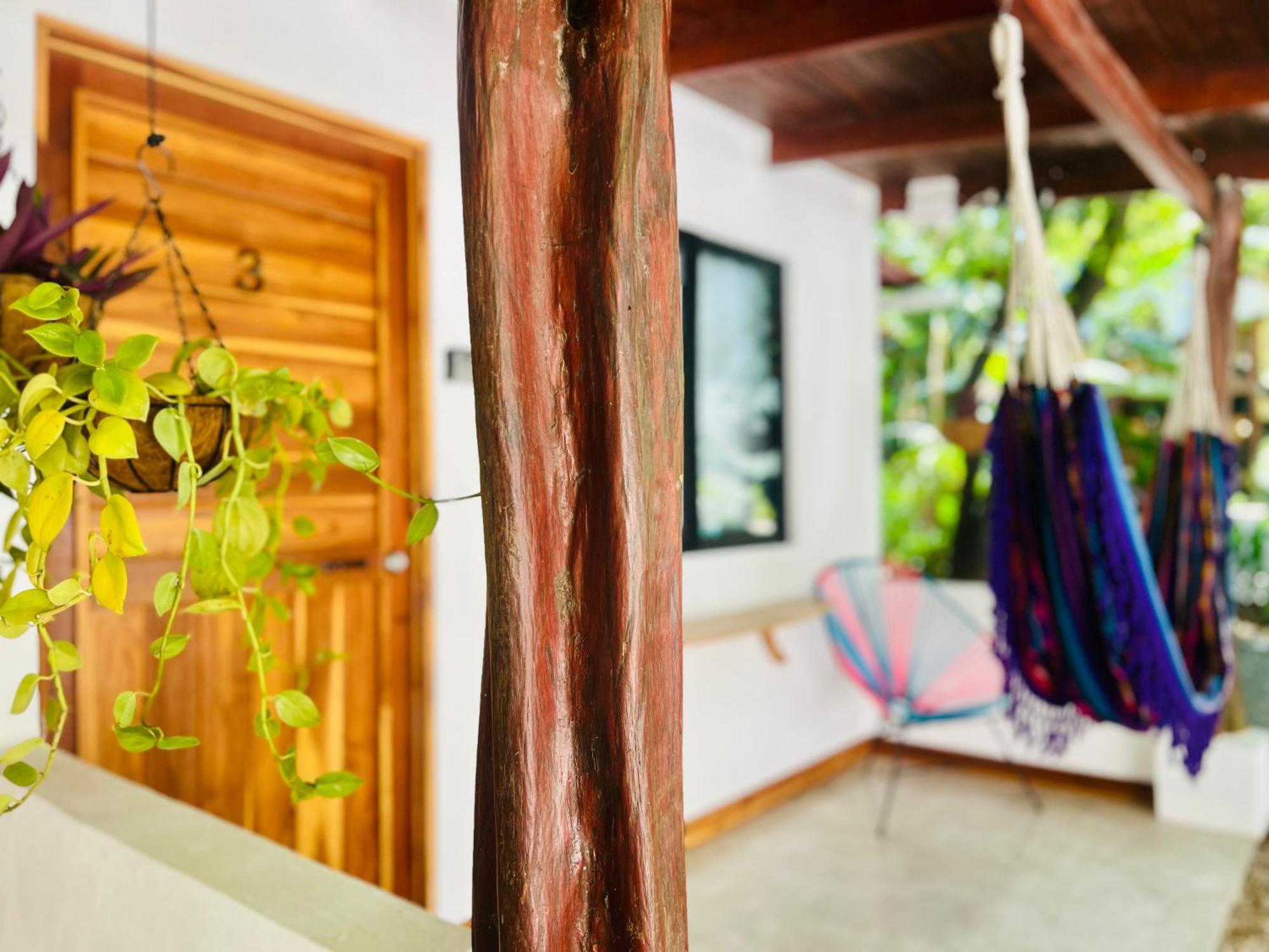 Calipso Ocean Lodge- Avellana Beach Hotel Playa Avellana Bagian luar foto